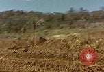 Image zone forestière Saipan Îles Mariannes du Nord, 1944, de la seconde 8 séquences d'archives historiques vidéo 65675035307