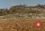 Image zone forestière Saipan Îles Mariannes du Nord, 1944, de la seconde 12 séquences d'archives historiques vidéo 65675035307