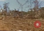 Image zone forestière Saipan Îles Mariannes du Nord, 1944, de la seconde 17 séquences d'archives historiques vidéo 65675035307