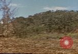 Image zone forestière Saipan Îles Mariannes du Nord, 1944, de la seconde 18 séquences d'archives historiques vidéo 65675035307
