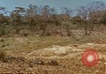 Image zone forestière Saipan Îles Mariannes du Nord, 1944, de la seconde 21 séquences d'archives historiques vidéo 65675035307