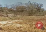 Image zone forestière Saipan Îles Mariannes du Nord, 1944, de la seconde 22 séquences d'archives historiques vidéo 65675035307