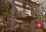 Image zone forestière Saipan Îles Mariannes du Nord, 1944, de la seconde 24 séquences d'archives historiques vidéo 65675035307