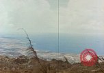 Image zone forestière Saipan Îles Mariannes du Nord, 1944, de la seconde 37 séquences d'archives historiques vidéo 65675035307