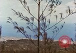 Image zone forestière Saipan Îles Mariannes du Nord, 1944, de la seconde 39 séquences d'archives historiques vidéo 65675035307