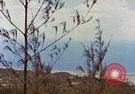 Image zone forestière Saipan Îles Mariannes du Nord, 1944, de la seconde 40 séquences d'archives historiques vidéo 65675035307