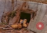 Immagine di Aerei giapponesi Saipan Isole Marianne Settentrionali, 1944, secondo 53 filmato di repertorio 65675035308