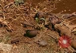 Image of US Marines Saipan Northern Mariana Islands, 1944, second 21 stock footage video 65675035309