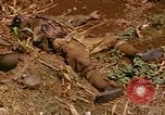 Image of US Marines Saipan Northern Mariana Islands, 1944, second 25 stock footage video 65675035309