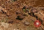 Image of US Marines Saipan Northern Mariana Islands, 1944, second 28 stock footage video 65675035309