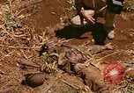 Image of US Marines Saipan Northern Mariana Islands, 1944, second 29 stock footage video 65675035309