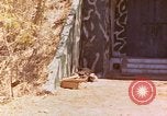 Image of devastated buildings Saipan Northern Mariana Islands, 1944, second 19 stock footage video 65675035310