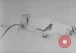 Image of Navy firefighters working at crash sites Pacific Theater, 1942, second 28 stock footage video 65675035347