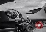 Standbild 5 PBY Catalina South Pacific Ocean, 1942, aus Sekunde 49 historischem Filmmaterial Videoclip 65675035348