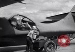 Standbild 5 PBY Catalina South Pacific Ocean, 1942, aus Sekunde 54 historischem Filmmaterial Videoclip 65675035348