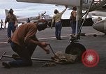 Image of USS Constellation CVA 64 North Vietnam, 1967, second 46 stock footage video 65675035354