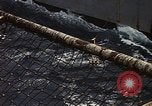 Standbild USS Constellation Golf von Tonkin Vietnam, 1970, aus Sekunde 13 historischem Filmmaterial Videoclip 65675035358