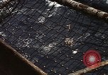 Standbild USS Constellation Golf von Tonkin Vietnam, 1970, aus Sekunde 15 historischem Filmmaterial Videoclip 65675035358