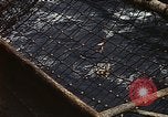 Standbild USS Constellation Golf von Tonkin Vietnam, 1970, aus Sekunde 16 historischem Filmmaterial Videoclip 65675035358