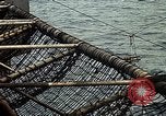 Standbild USS Constellation Golf von Tonkin Vietnam, 1970, aus Sekunde 29 historischem Filmmaterial Videoclip 65675035358