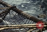Standbild USS Constellation Golf von Tonkin Vietnam, 1970, aus Sekunde 41 historischem Filmmaterial Videoclip 65675035358