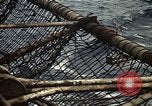 Standbild USS Constellation Golf von Tonkin Vietnam, 1970, aus Sekunde 43 historischem Filmmaterial Videoclip 65675035358