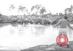 Immagine di Swamp Buggy Derby Naples Florida USA, 1966, secondo 15 filmato di repertorio 65675035365