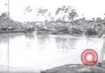 Immagine di Swamp Buggy Derby Naples Florida USA, 1966, secondo 16 filmato di repertorio 65675035365