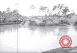 Immagine di Swamp Buggy Derby Naples Florida USA, 1966, secondo 17 filmato di repertorio 65675035365