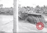 Immagine di Swamp Buggy Derby Naples Florida USA, 1966, secondo 24 filmato di repertorio 65675035365