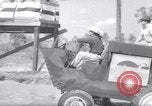Immagine di Swamp Buggy Derby Naples Florida USA, 1966, secondo 27 filmato di repertorio 65675035365