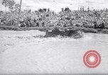 Immagine di Swamp Buggy Derby Naples Florida USA, 1966, secondo 39 filmato di repertorio 65675035365