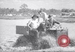 Immagine di Swamp Buggy Derby Naples Florida USA, 1966, secondo 41 filmato di repertorio 65675035365
