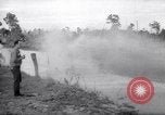 Immagine di Swamp Buggy Derby Naples Florida USA, 1966, secondo 57 filmato di repertorio 65675035365