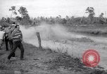 Immagine di Swamp Buggy Derby Naples Florida USA, 1966, secondo 58 filmato di repertorio 65675035365