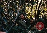 Image of Operation Big Spring Bien Hoa Vietnam, 1967, second 8 stock footage video 65675035376