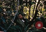 Image of Operation Big Spring Bien Hoa Vietnam, 1967, second 9 stock footage video 65675035376