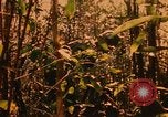 Image of Operation Big Spring Bien Hoa Vietnam, 1967, second 28 stock footage video 65675035376