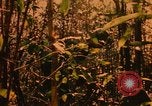 Image of Operation Big Spring Bien Hoa Vietnam, 1967, second 29 stock footage video 65675035376