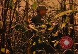 Image of Operation Big Spring Bien Hoa Vietnam, 1967, second 30 stock footage video 65675035376