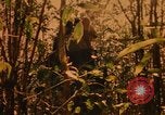 Image of Operation Big Spring Bien Hoa Vietnam, 1967, second 31 stock footage video 65675035376
