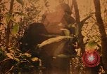 Image of Operation Big Spring Bien Hoa Vietnam, 1967, second 33 stock footage video 65675035376