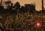 Image of Operation Big Spring Bien Hoa Vietnam, 1967, second 37 stock footage video 65675035376
