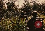 Image of Operation Big Spring Bien Hoa Vietnam, 1967, second 42 stock footage video 65675035376