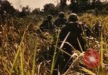 Image of Operation Big Spring Bien Hoa Vietnam, 1967, second 43 stock footage video 65675035376