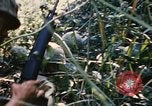 Image of Operation Big Spring Bien Hoa Vietnam, 1967, second 50 stock footage video 65675035376