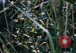 Image of Operation Big Spring Bien Hoa Vietnam, 1967, second 51 stock footage video 65675035376