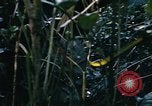 Image of Operation Big Spring Bien Hoa Vietnam, 1967, second 52 stock footage video 65675035376