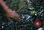 Image of Operation Big Spring Bien Hoa Vietnam, 1967, second 54 stock footage video 65675035376