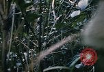 Image of Operation Big Spring Bien Hoa Vietnam, 1967, second 55 stock footage video 65675035376